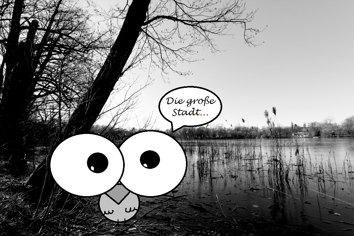 064 Natur in Berlin.png