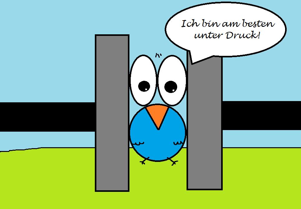 071 Druck und Leistung