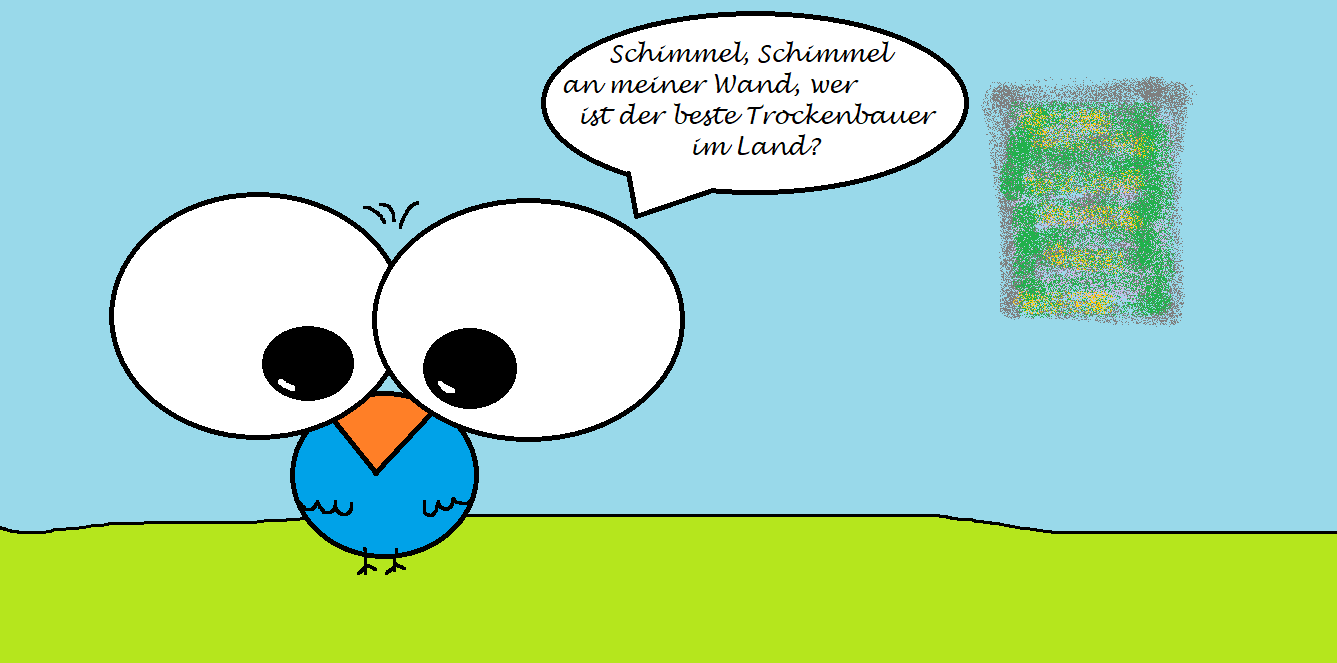 106 Trockenbau vs. Schimmel