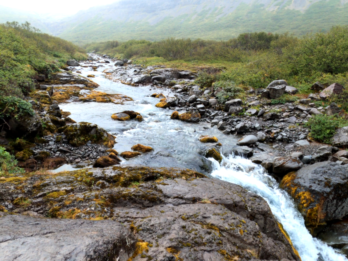 Von Rinnsal und&nbsp;Foss
